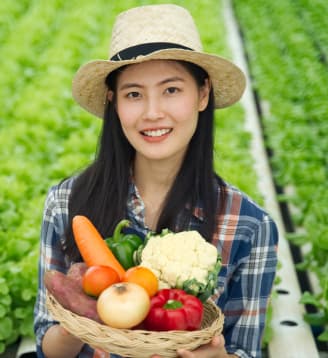 Arhar Dal Manufacturers in Delhi,Arhar Dal Suppliers in Delhi,Arhar Dal Manufacturers in India,Arhar Dal supplier in India,Toor Dal in Delhi, Top Toor Dal Manufacturers in Delhi  |  ⁠Manoj Food Products | https://manojfoodproducts.com