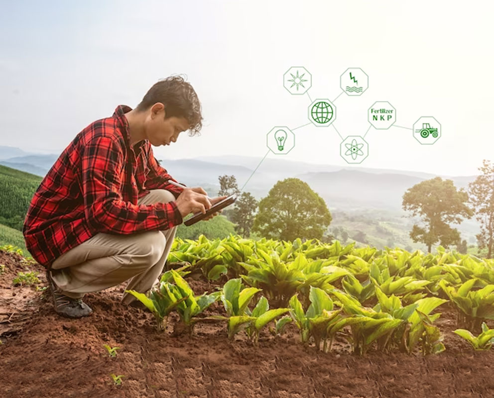 Arhar Dal Manufacturers in Delhi,Arhar Dal supplier in India,Arhar Dal Suppliers in Delhi,Arhar Dal Manufacturers & Suppliers in Delhi,Moong Dal Manufacturers in Delhi,Moong Dal Manufacturers in India,Moong Dal supplier in India,Moong Dal supplier in Delhi,Urad Dal Manufacturers in Delhi,Urad chilka Dal Suppliers in Delhi,Urad Dal Manufacturers & Suppliers in Delhi,Urad Sabut Supplier in Delhi,Sabut Urad Dal suppliers in Delhi,Sabut Urad Dal Manufacturers in India | Manoj Food Products | https://manojfoodproducts.com/