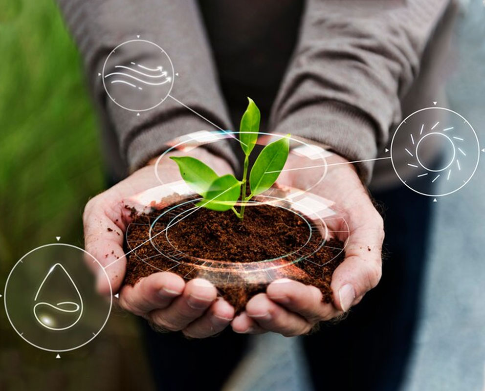 Arhar Dal Manufacturers in Delhi,Arhar Dal supplier in India,Arhar Dal Suppliers in Delhi,Arhar Dal Manufacturers & Suppliers in Delhi,Moong Dal Manufacturers in Delhi,Moong Dal Manufacturers in India,Moong Dal supplier in India,Moong Dal supplier in Delhi,Urad Dal Manufacturers in Delhi,Urad chilka Dal Suppliers in Delhi,Urad Dal Manufacturers & Suppliers in Delhi,Urad Sabut Supplier in Delhi,Sabut Urad Dal suppliers in Delhi,Sabut Urad Dal Manufacturers in India | Manoj Food Products | https://manojfoodproducts.com/