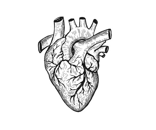 Manoj Food Products- https://manojfoodproducts.com